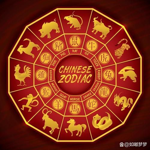 上帝属哪个生肖属相好（上帝属相选哪一生肖最好）