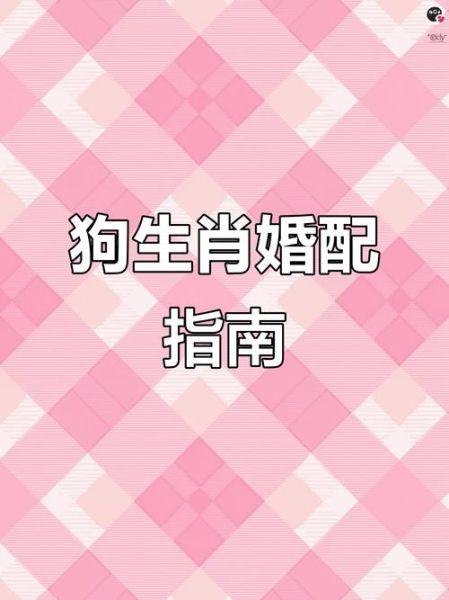 生肖狗适配属相（属狗和什么属相最配）