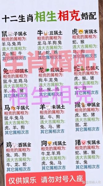 老鼠女最佳搭配生肖属相（鼠女最佳婚配属相大揭秘）