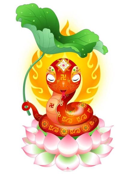 荷花属相是什么生肖（荷花属相是什么生肖？别踩坑！）