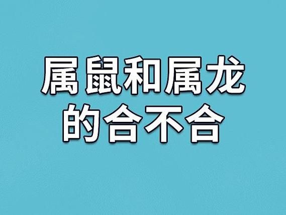 生肖男鼠配对属相龙（男鼠女龙婚配合不合）