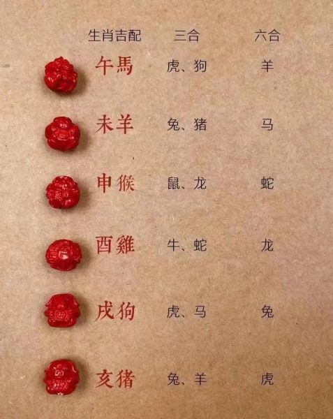 生肖龙对应什么生肖属相（生肖龙到底和哪些属相最合？）
