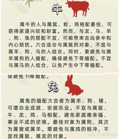 生肖属相命理分析（2025年属牛能结婚吗最吉日）
