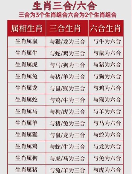 生肖属相龙年（龙年生肖运势详解及开运指南）