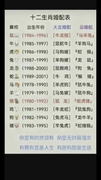 生肖兔婚姻属相（生肖兔婚姻属相最佳配对）