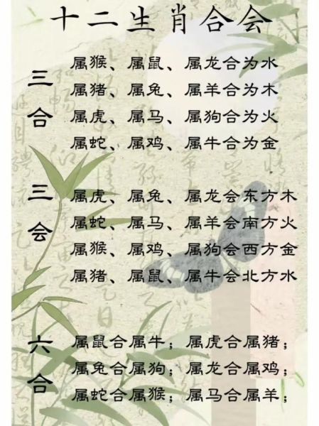 哪些生肖属相不合（生肖属相不合配对大全）