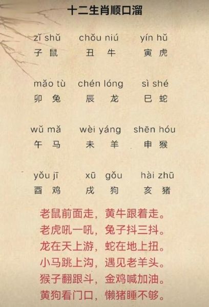 戊乙属相是什么生肖(戊乙属相对应的生肖是什么)