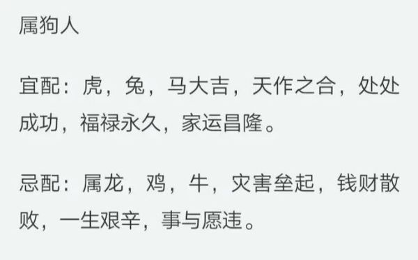 生肖狗结婚最忌什么属相（属狗婚配最忌讳的三大生肖）