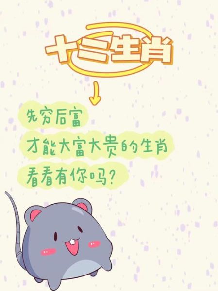 穷富属性生肖属相（穷富属相怎么查）