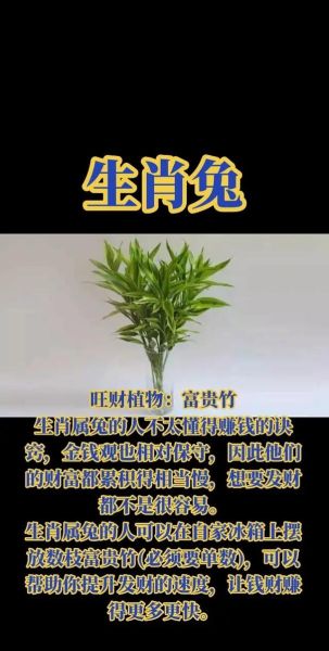 适合种地的属相生肖（适合种地的生肖有哪些）