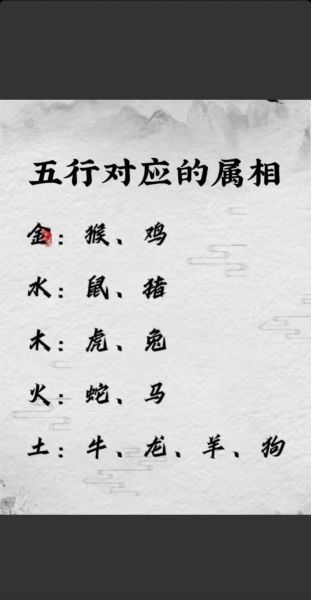生肖属相玄学大全(生肖属相怎么分阴历阳历)