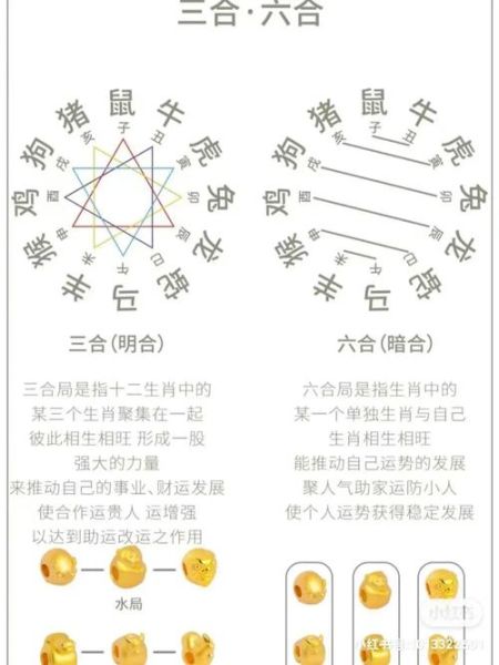 相合生肖属相有哪些呢