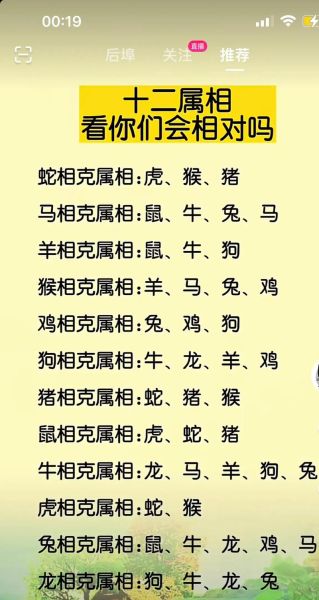 生肖相克饰品是什么属相(生肖相克饰品是什么属相?🐉✨)