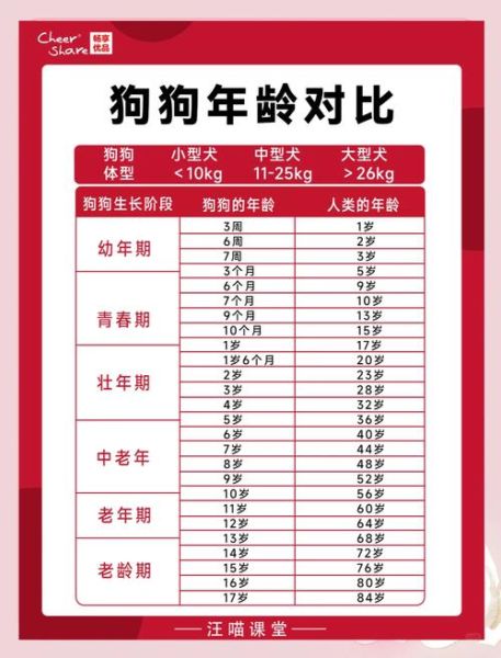 生肖属相狗的年份（属狗的都是哪些年份？）