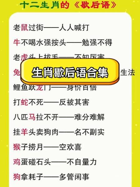 生肖属相 搞笑（十二生肖属相搞笑段子大全）