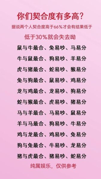 属相鼠和生肖兔（鼠和兔做夫妻好不好）