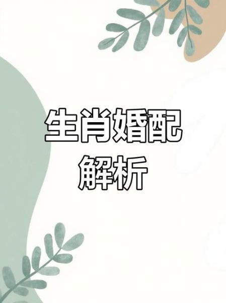 属相猪和什么生肖般配（属猪的和什么属相最合适婚配？）