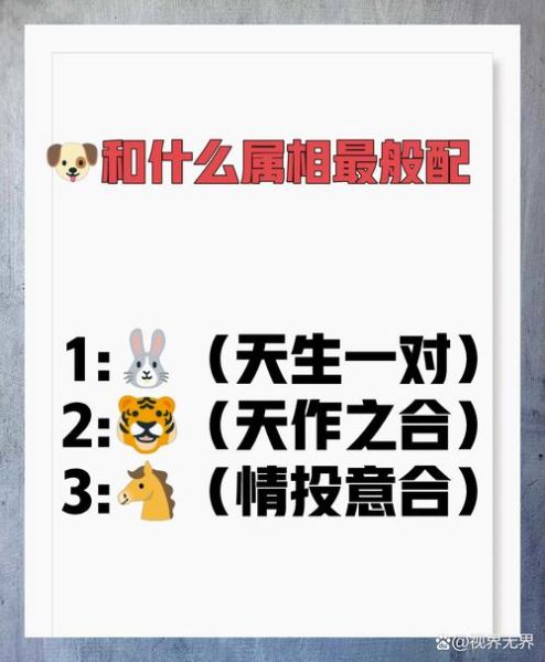 生肖狗与什么属相合得来（生肖狗最佳属相搭档是谁？）