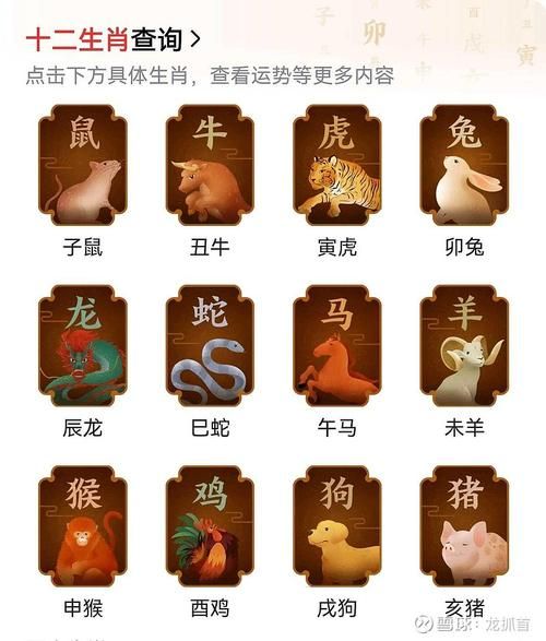 生肖蛇的贵人属相（生肖蛇的贵人属相是哪几位）