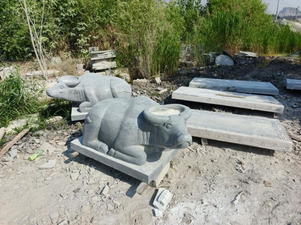 龙龟匹配生肖属相