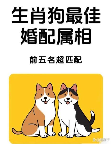 生肖狗相配的最佳属相(生肖狗和什么属相最配最旺财)