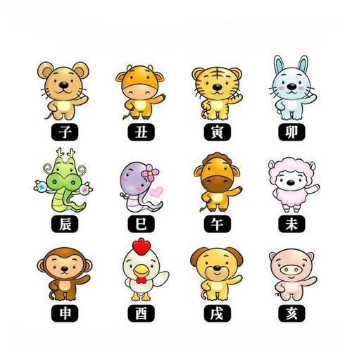 2017年属相什么生肖(2017年属什么生肖?新手一查就懂!)