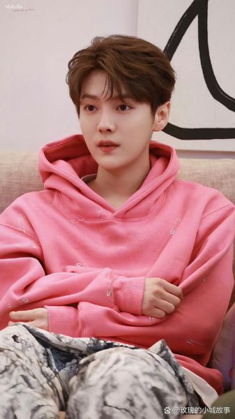 鹿晗生肖属相(鹿晗生肖属什么?小白秒懂属相科普✨)