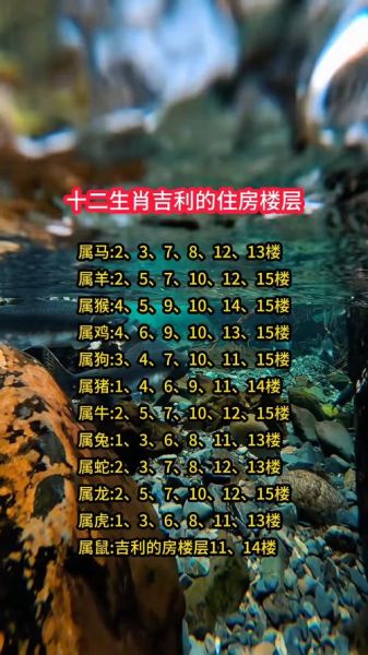 生肖属相住楼（生肖属相住楼层怎么选？新手一看就懂 🐭🐮🐯）