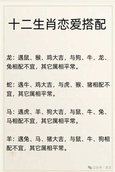 生肖属相对应的生肖是什么（生肖对照表查询：你的属相是哪一年？）