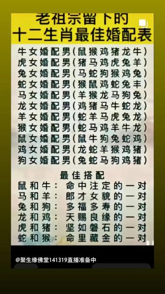 生肖马和鸡属相合（生肖马和鸡合不合婚配怎样）