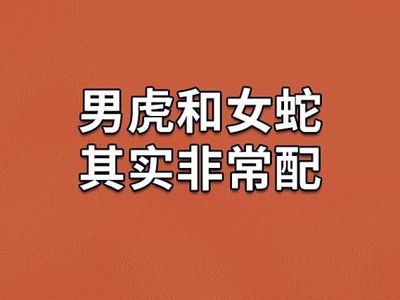 虎属相配蛇的生肖（属虎和属蛇的生肖配对好吗？）