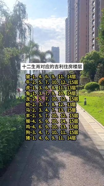 生肖属相住楼层（1988属龙住几楼最旺风水财运）