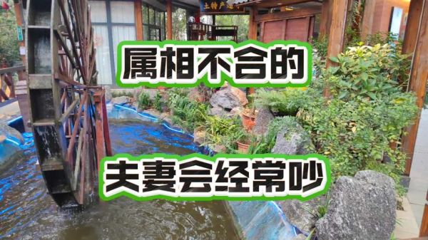 生肖夫妻吵架属相（夫妻吵架属相不合？别慌，看看这里）