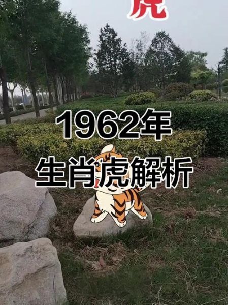 1962年属什么生肖属相属相（1962年属什么生肖？🐅）