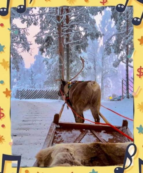 查芬兰属什么生肖属相（芬兰属什么生肖属相 🦌）