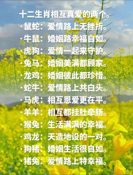 生肖合婚搭配的属相女（鼠男牛女婚姻合不合）