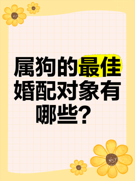 生肖狗和啥属相合婚（属狗最配的属相是什么）