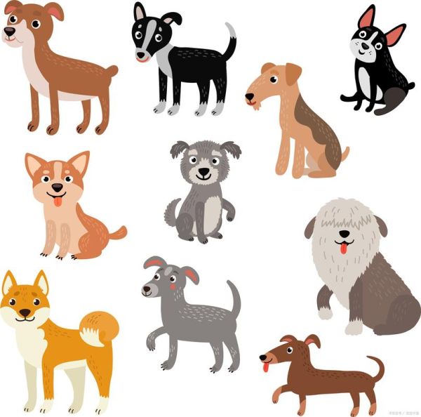 生肖狗不能配对的属相（生肖狗不能配对的属相有哪些）