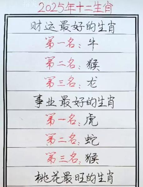 2025属什么生肖属相(2025属什么生肖属相最准一览表)