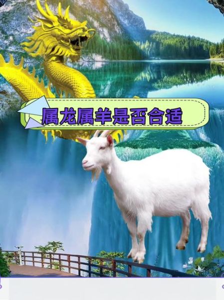 生肖羊与属相龙（生肖羊与龙合不合？婚配指数🔮）