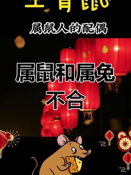 生肖鼠和生肖兔属相合吗（生肖鼠和生肖兔合不合）
