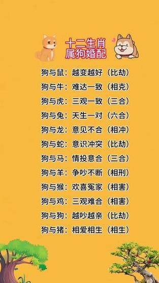 狗生肖男最佳配对属相