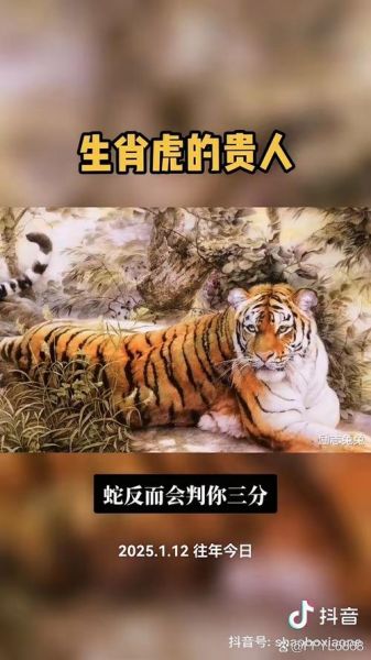 虎的生肖的贵人属相（属虎的贵人生肖是谁）