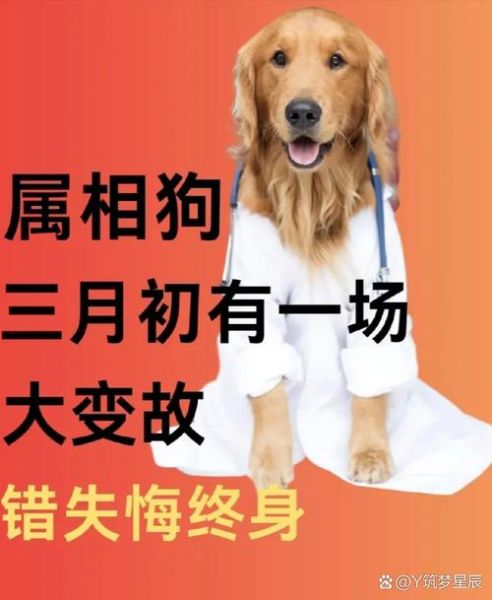 生肖狗的敌人属相（属狗的敌人属相有哪些？）