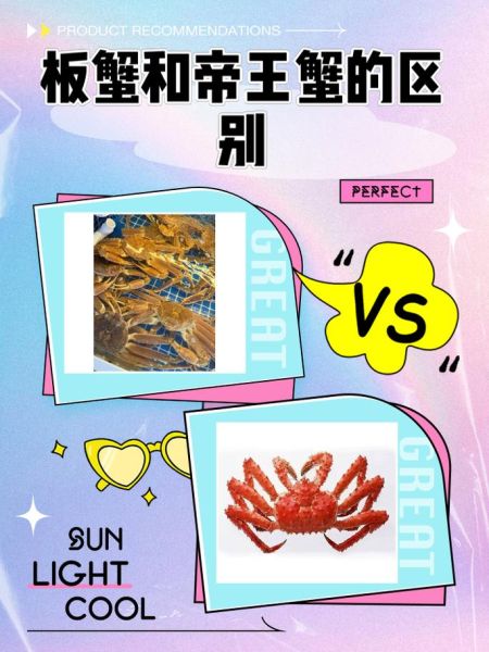 螃蟹女属于什么生肖属相（螃蟹女是什么生肖？新手秒懂）