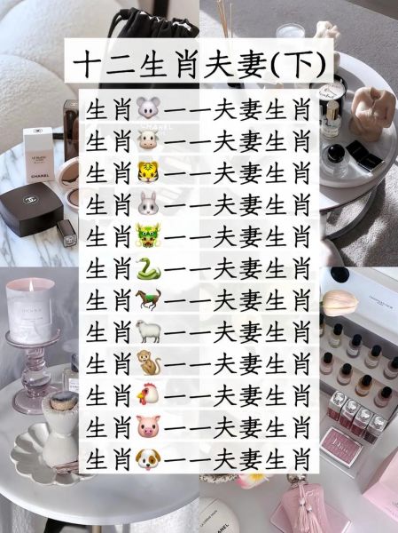 生肖猪的属相相合（生肖猪与哪些属相最合？新手一看就懂）
