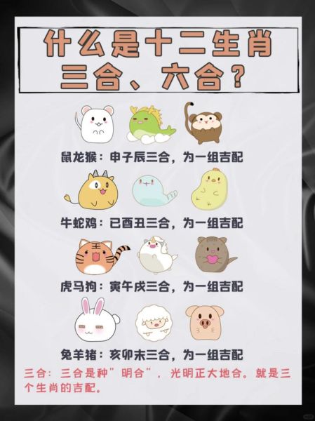 1976年属什么生肖属相（1976属什么生肖是什么命）