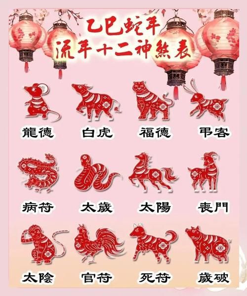 生肖属相运势解析视频（2025年生肖好运如何查视频😎）