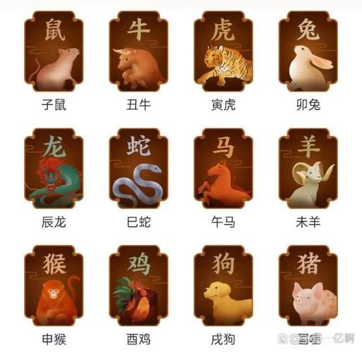 简约属什么生肖属相呢（简约代表什么生肖属相🔍）