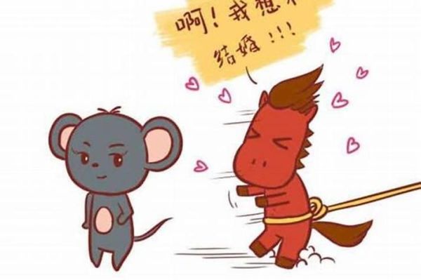 生肖鼠马属相相合吗（鼠马相合吗？婚姻到底搭不搭）